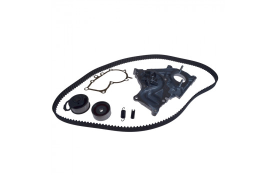 juego de correas de distribución ADT373755 Blue Print