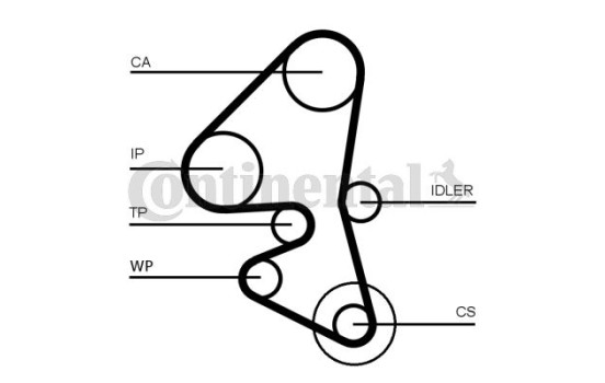 Juego de correas de distribución CT1163K1 Contitech, Imagen 2