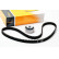 Juego de correas de distribución CT607K1 Contitech