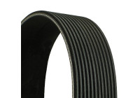 Cinturón múltiple 12PK1815 Contitech