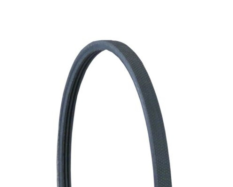 Cinturón múltiple 3PJ891 Contitech