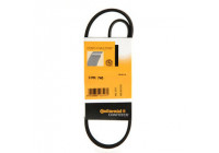 Cinturón múltiple 3PK740 Contitech