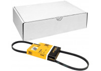 Cinturón múltiple 3PK850 Contitech