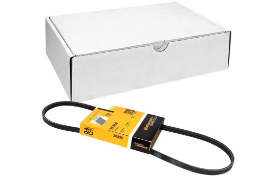 Cinturón múltiple 3PK850 Contitech