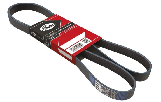 Cinturón múltiple 4PK1755 Gates