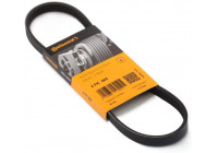Cinturón múltiple 4PK665 Contitech