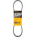 Cinturón múltiple 4PK780 Contitech