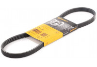 Cinturón múltiple 4PK800 Contitech