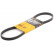 Cinturón múltiple 4PK800 Contitech