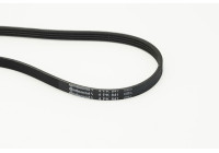 Cinturón múltiple 4PK841 Contitech