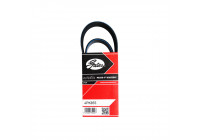 Cinturón múltiple 4PK855 Gates