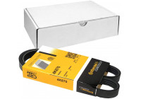 Cinturón múltiple 4PK870 Contitech