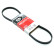 Cinturón múltiple 4PK890 Gates