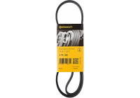 Cinturón múltiple 4PK895 Contitech