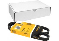 Cinturón múltiple 4PK920 Contitech