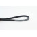 Cinturón múltiple 4PK922 ELAST Contitech, Miniatura 2