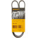 Cinturón múltiple 4PK950 Contitech