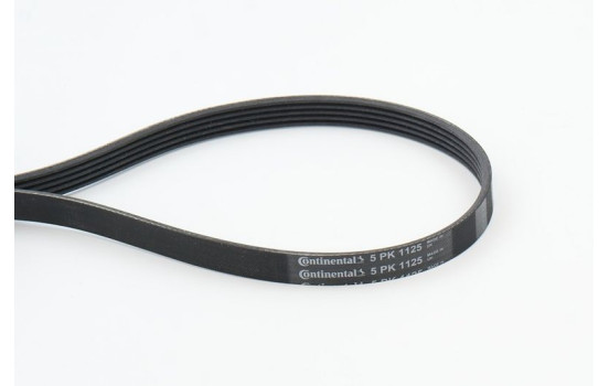 Cinturón múltiple 5PK1125 Contitech, Imagen 2