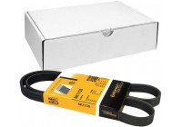 Cinturón múltiple 5PK1135 Contitech