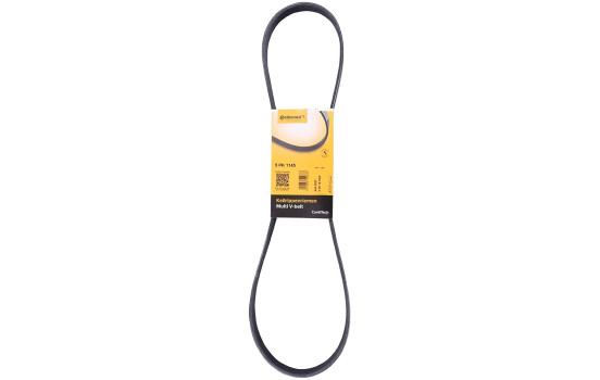 Cinturón múltiple 5PK1145 Contitech