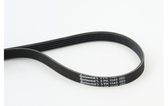 Cinturón múltiple 5PK1145 Contitech, Imagen 2