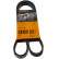 Cinturón múltiple 5PK1150 Contitech