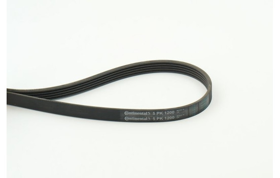 Cinturón múltiple 5PK1200 Contitech, Imagen 2