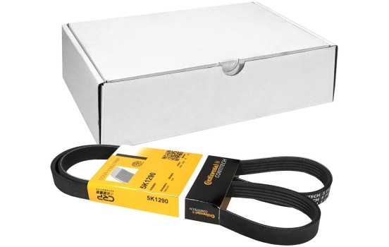 Cinturón múltiple 5PK1290 Contitech