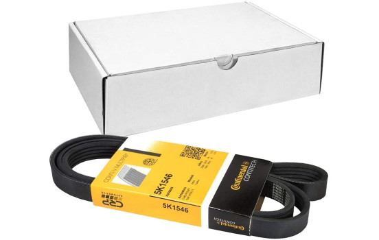 Cinturón múltiple 5PK1546 Contitech