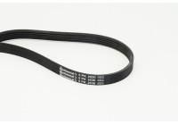 Cinturón múltiple 5PK2030 Contitech