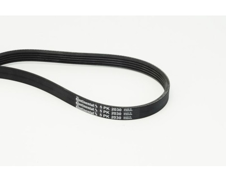 Cinturón múltiple 5PK2030 Contitech