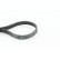 Cinturón múltiple 5PK716ELAST Contitech, Miniatura 2