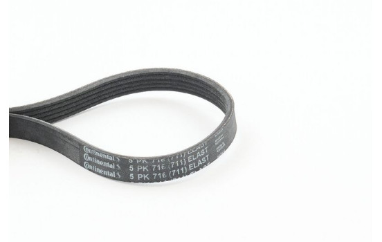 Cinturón múltiple 5PK716ELAST Contitech, Imagen 2