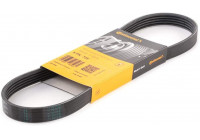 Cinturón múltiple 5PK725 Contitech