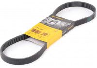 Cinturón múltiple 5PK880 Contitech