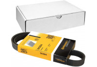 Cinturón múltiple 5PK884 Contitech