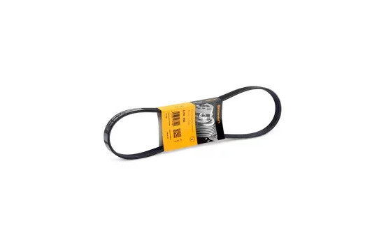 Cinturón múltiple 5PK900 Contitech