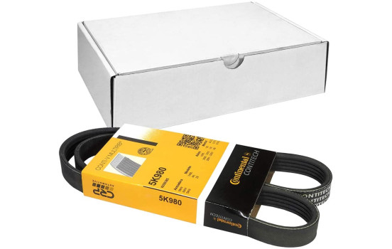 Cinturón múltiple 5PK980 Contitech