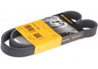 Cinturón múltiple 6PK1005 Contitech