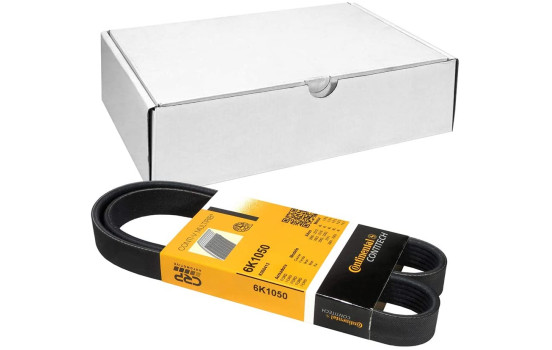 Cinturón múltiple 6PK1050 Contitech