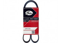 Cinturón múltiple 6PK1053 Gates