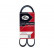 Cinturón múltiple 6PK1053 Gates