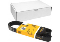 Cinturón múltiple 6PK1070 Contitech