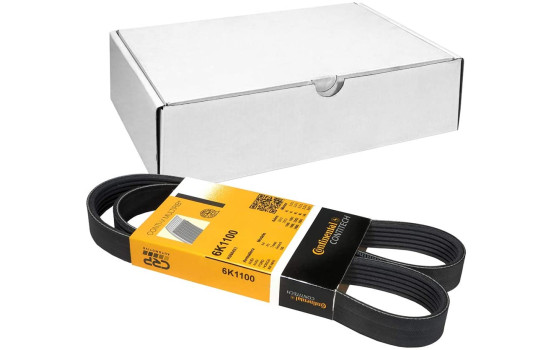 Cinturón múltiple 6PK1100 Contitech