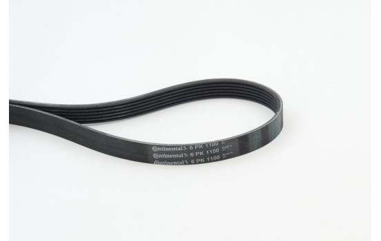 Cinturón múltiple 6PK1100 Contitech, Imagen 2
