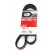 Cinturón múltiple 6PK1123 Gates