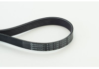 Cinturón múltiple 6PK1157 EXTRA Contitech