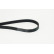 Cinturón múltiple 6PK1180 Contitech, Miniatura 2