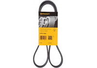 Cinturón múltiple 6PK1244 Contitech