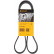 Cinturón múltiple 6PK1244 Contitech